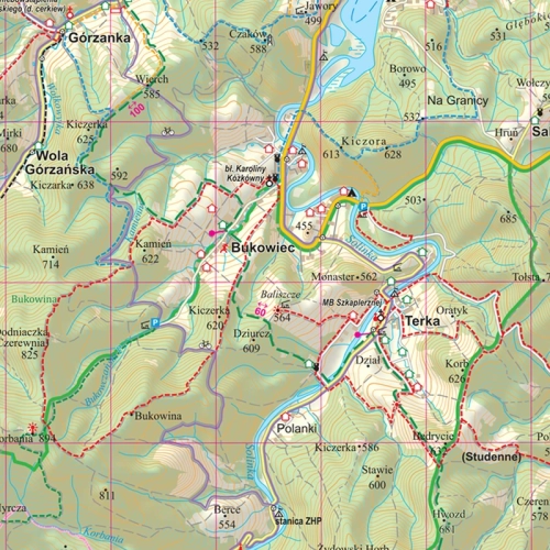 Bieszczady. Mapa ścienna 1:50 000, 100x114,5 cm, SwiatMap.pl