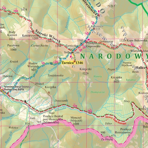 Bieszczady. Mapa ścienna 1:50 000, 100x114,5 cm, SwiatMap.pl
