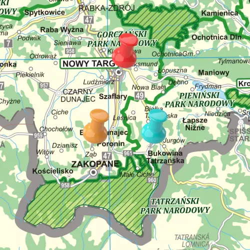 Polska - podział organizacyjny Lasów Państwowych mapa ścienna 1:500 000, 140x145 cm, ArtGlob