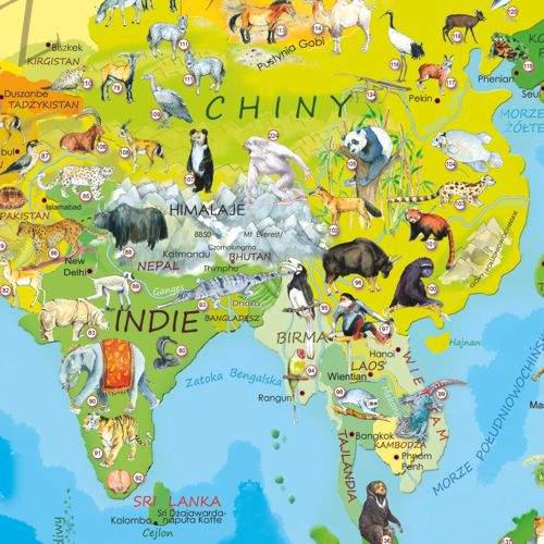 Zwierzęta Świata Młodego Odkrywcy mapa ścienna dla dzieci - naklejka, ArtGlob